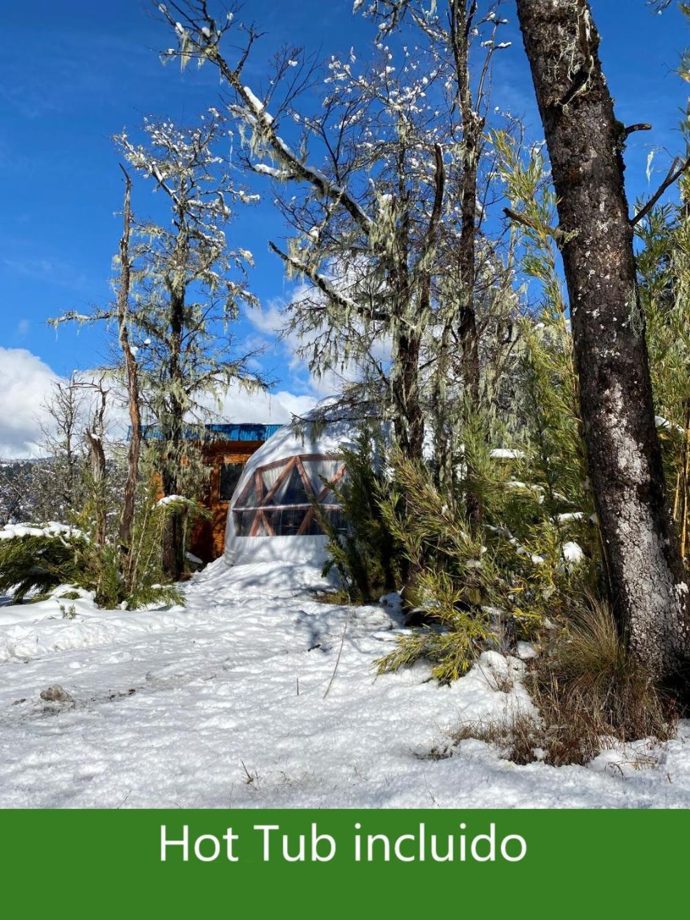 Chalet Domo & Tinaja El Granero Malalcahuello